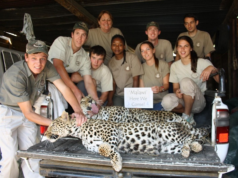 wildlife volunteer abroad