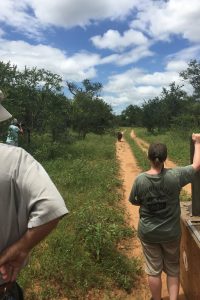 wildlife conservation volunteer