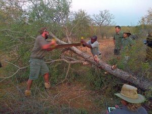 conservation volunteering abroad